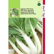 2 stuks - Taisai of Japanse Pak Choy