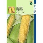 2 stuks - Suikermais Tasty Sweet F1