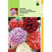 2 stuks - Papaver Somniferum Paeoniflorum Gemengd