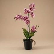 URBANJNGL - Orchidee Vanda kunstplant 60 cm - Oudroze - In pot