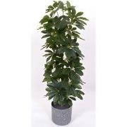 Scheffelera arboricola 90 cm kunstplant Oosterik Home