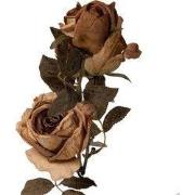 Clayre & Eef Kunstbloem Roos 70 cm Beige Kunststof