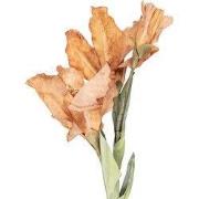 Clayre & Eef Kunstbloem 85 cm Bruin Kunststof