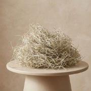 URBANJNGL - Gedroogd Tillandsia Mos – 1 liter – Decoratie – Zak van 25...