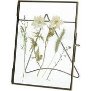 Lijst Gedroogde Bloem Messing Brons 13x2x18cm