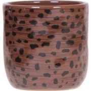 Kolibri Home | Leopard sierpot - Ø9cm