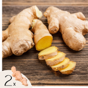 Gember - Set van 2 - Zingiber officinale - Wortelstokken
