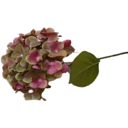 Kunst hortensia tak groen roze 62 cm