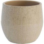 HS Potterie Lugo Beige - 26