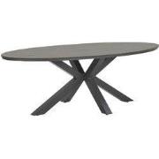 Garden Impressions Edison tuintafel - ovaal - 280 cm - grey teak Viron...
