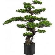 90 cm Kopu kunstmatige ceder bonsai boom met zwarte pot - Bonsai boom