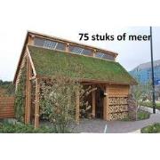 Minimaal 75 stuks! Sedummixmat T Compleet (incl. drainage type 11c & d...