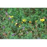 Bijen en Vlinder mixmat Compleet (incl. drainage type 11c & 16 zakken ...