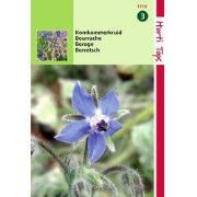 2 stuks - Komkommerkruid Borage