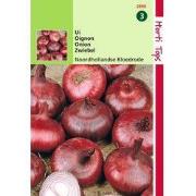 2 stuks - HT Uien Noordhollandse Bloedrode