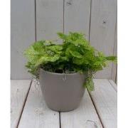 Kindje op moeders schoot in taupe pot 25 cm