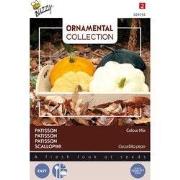 3 stuks - Ornamental patisson colour mix