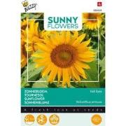 5 stuks - Sunny Flowers, Zonnebloem Irish Eyes