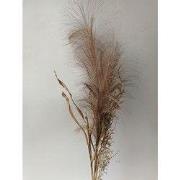Pampas gras bosje met blad 75cm -bruin