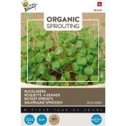 3 stuks - Bio knip en eet rucolakers