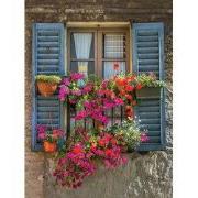 Blue Shutters 50x70cm Tuinschilderij