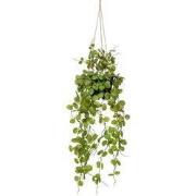 Ceropegia hanging bush 50 cm in pot kunstbloem zijde nepbloem