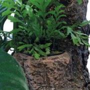 Sf scapers floating planty l