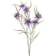 Aquilegia spray purple 84 cm Emerald