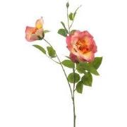 Rose liza spray x3 peach 80 cm Emerald