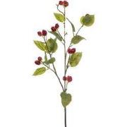 Raspberry spray red 90 cm Emerald