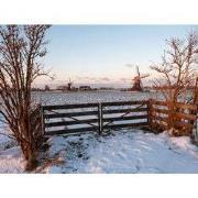 Tuinschilderij kalkmln wntr 130x70