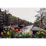 Tuinschilderij bloemengracht 70x50