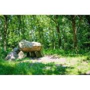 Tuinschilderij prehistorie 70x50cm