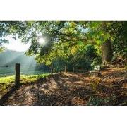 Tuinschilderij morning md 130x70