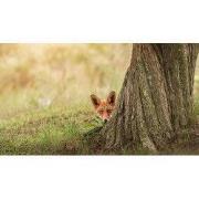Tuinschilderij vosje 70x50cm