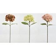 Single hydrangea 68 cm red