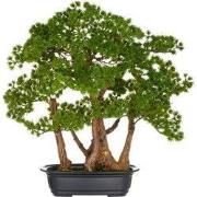 Kunstmatige bonsai van Kopu, gemaakt van larikshout, 53 cm hoog, met z...