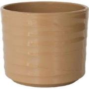 HS Potterie Bruine Pot Berlin - 27