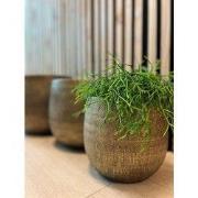 HS Potterie Bloempot Miami Goud - H27