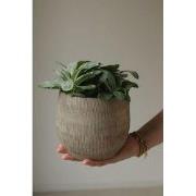 HS Potterie Bloempot Miami Grijs Bruin - H21