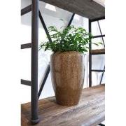 HS Potterie Marseille Vaas - 50