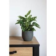 HS Potterie Pot Avion Antraciet - 32