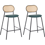 ADAVER - Barkruk set van 2 - Donkergroen - IJzer