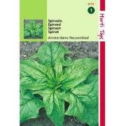 2 stuks - Spinazie Amsterdams Scherp Zaad 15 Gram