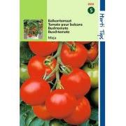 2 stuks - Tomaten Maja Balkontomaat Amateur Variety