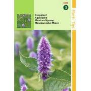 2 stuks - Agastache Mexicana Blauw Dropplant