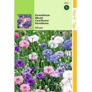 2 stuks - Centaurea Cyanus Dubbelbloemig Gemengd