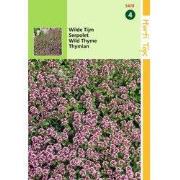 2 stuks - Thymus Serpyllum Purperrood