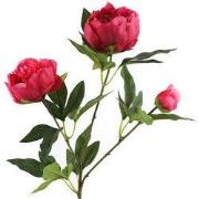 Paeonia kunststof 23x13x73 cm roze kunstbloem II