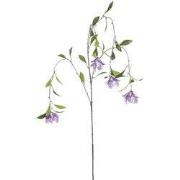 Dishgyi hanging spray x4 purple 150 cm